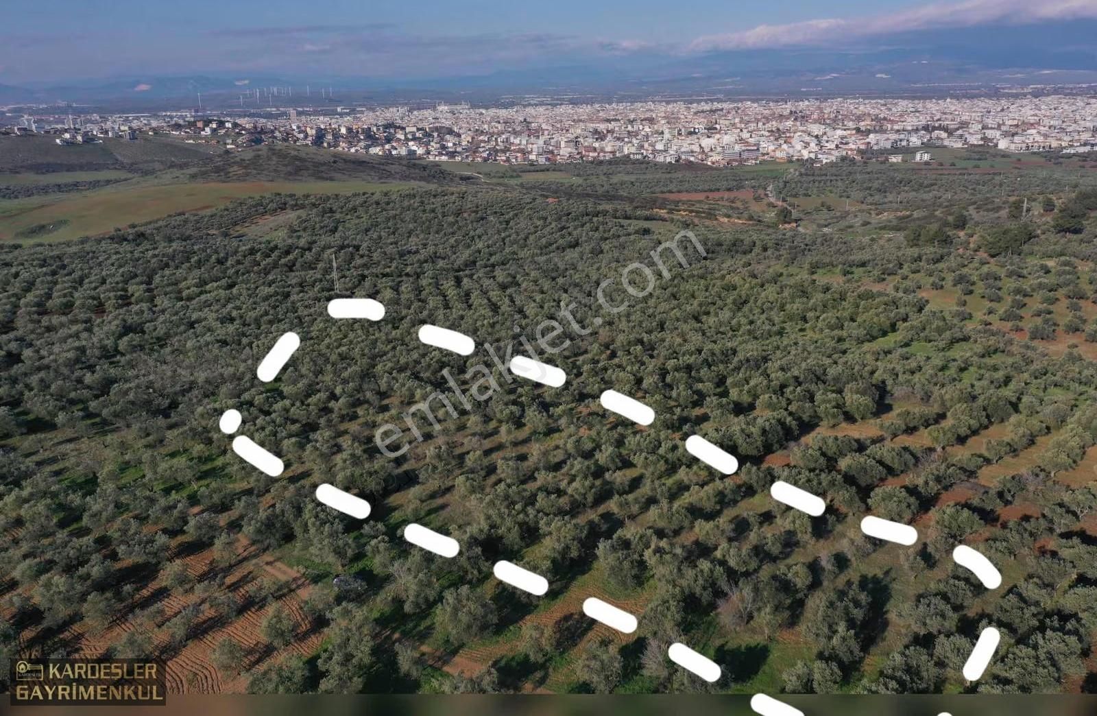 Akhisar Cumhuriyet Mahallesinde [izmirdağ Mevki] Yatırımlık