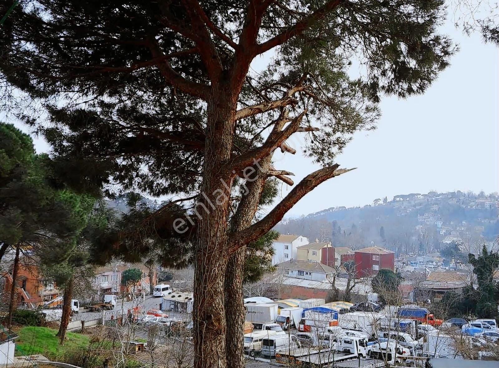 Sarıyer Merkeze Yakın Kiralık Daire - Görsel 2