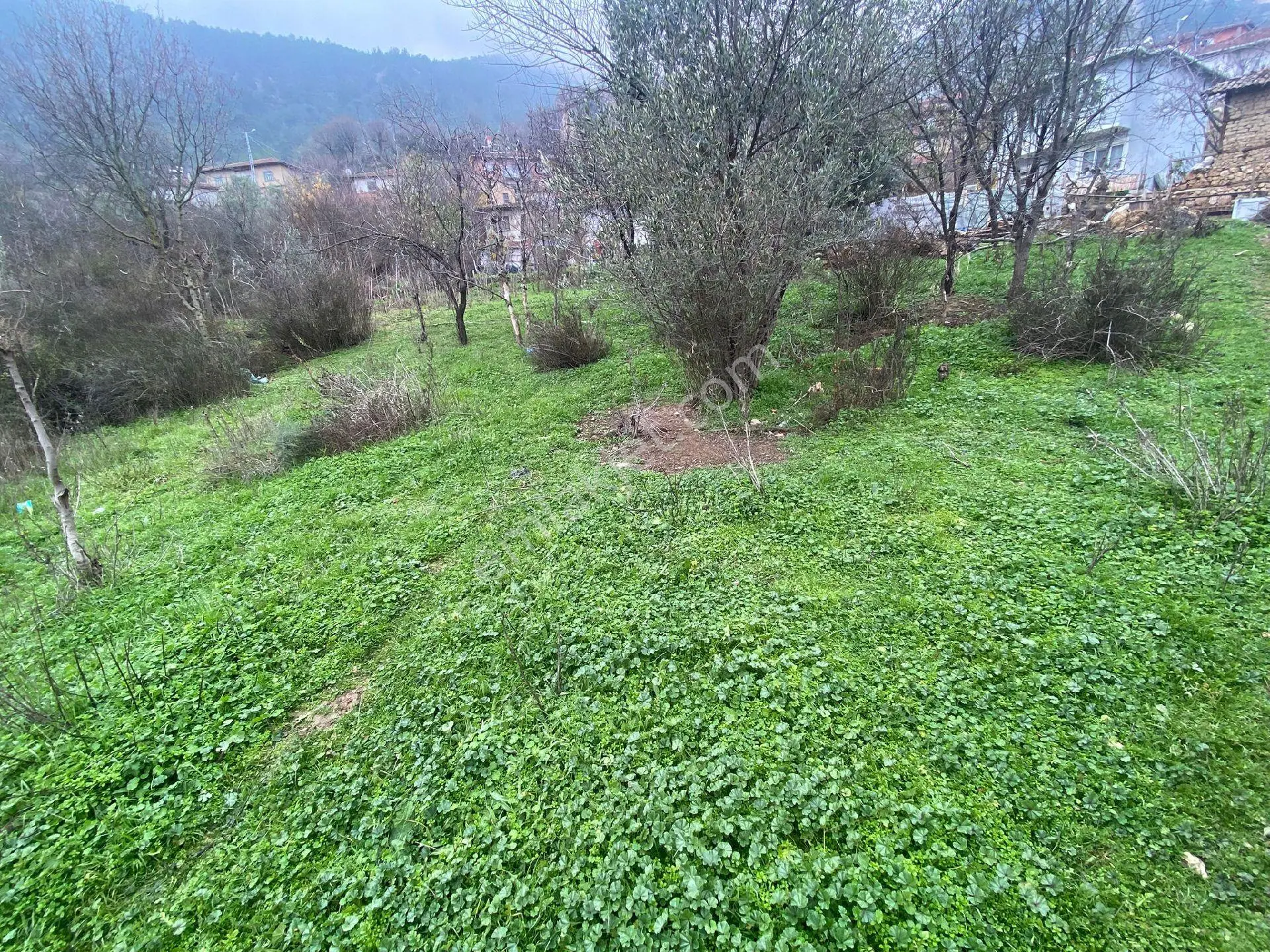 Bilecik İnhusarda Acik Satilik Arsa - Görsel 3