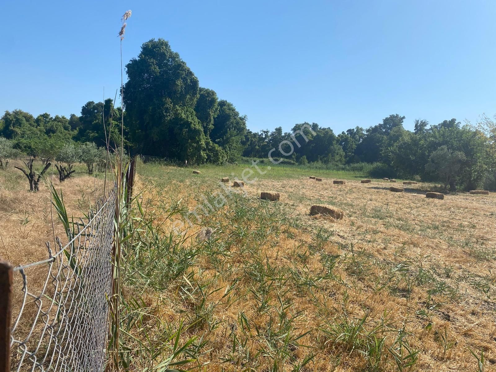 Sahibinden Denize Yakın Kiralık Tarla - Görsel 11