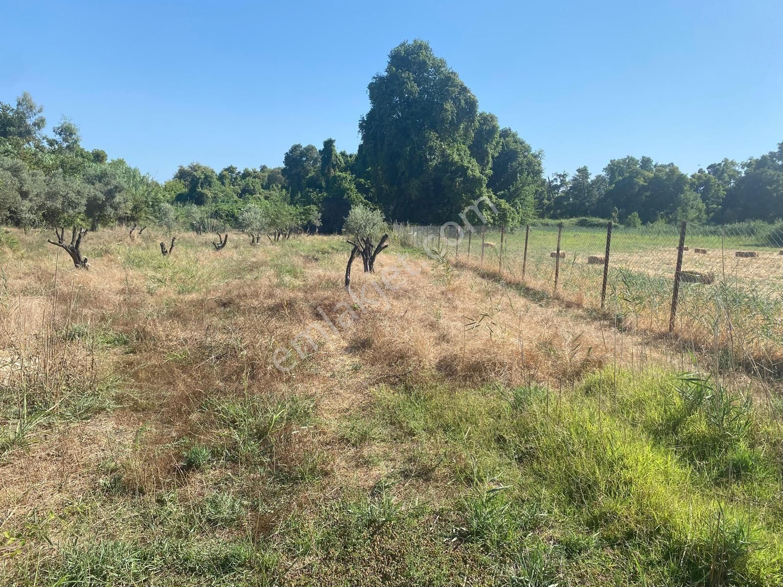 Sahibinden Denize Yakın Kiralık Tarla - Görsel 12