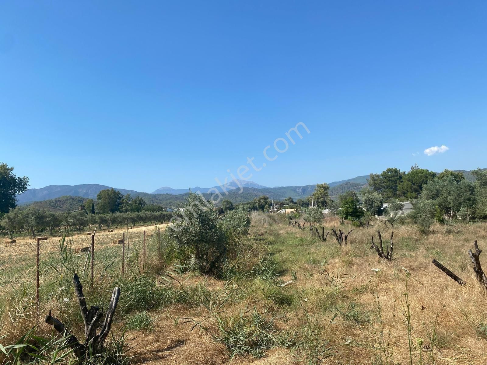 Sahibinden Denize Yakın Kiralık Tarla - Görsel 13