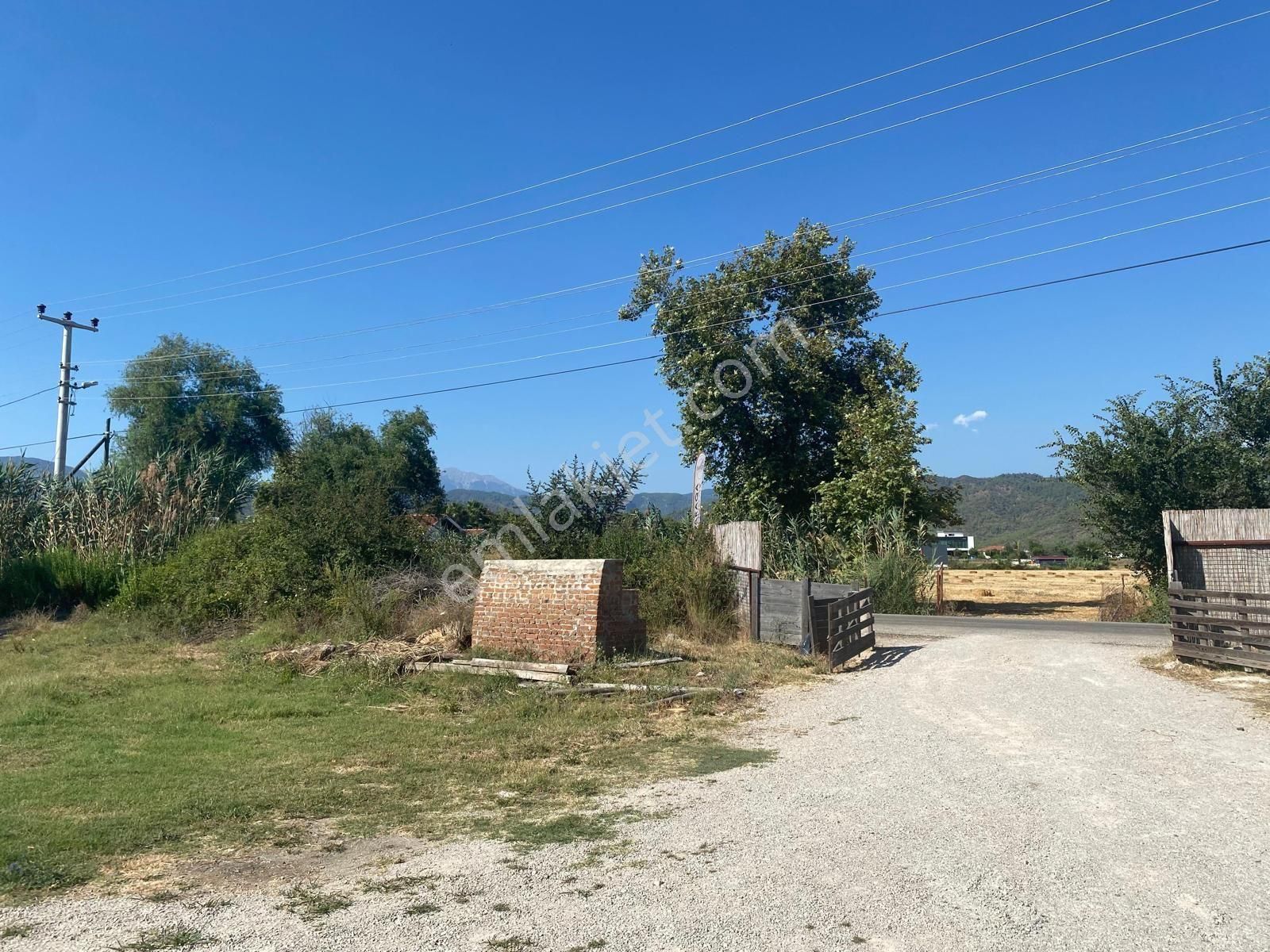 Sahibinden Denize Yakın Kiralık Tarla - Görsel 3