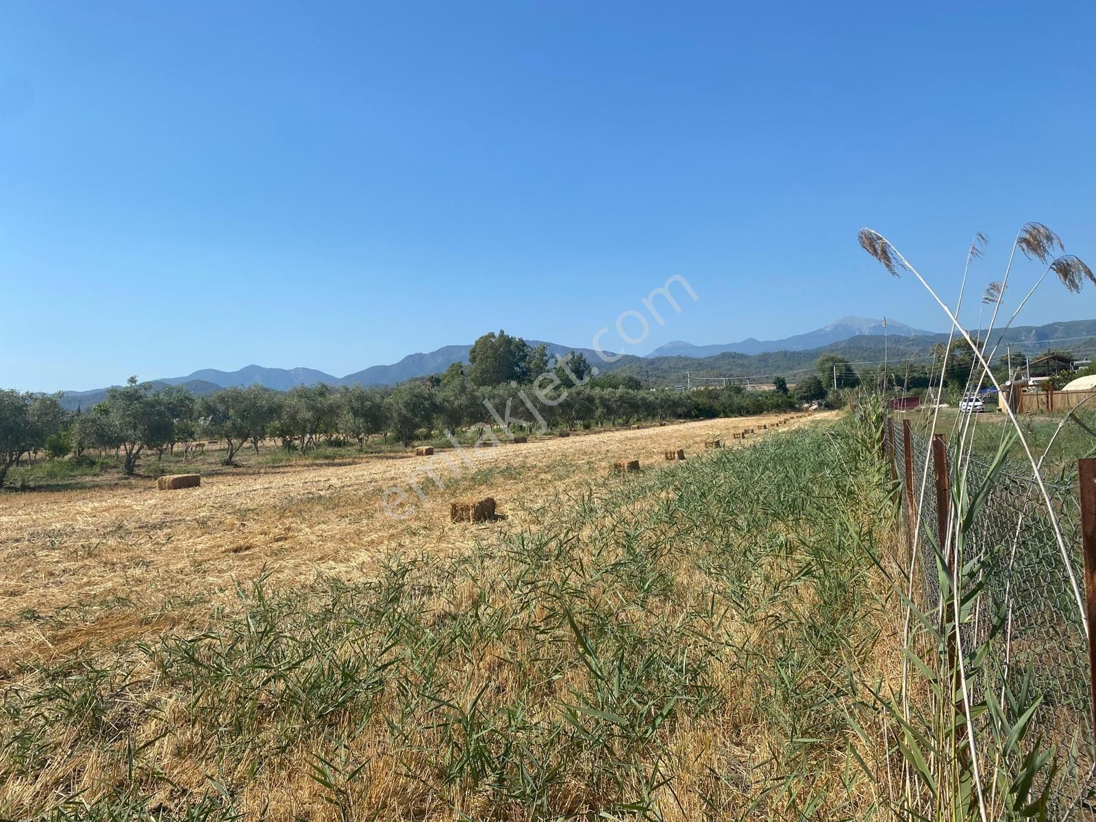 Sahibinden Denize Yakın Kiralık Tarla - Görsel 9