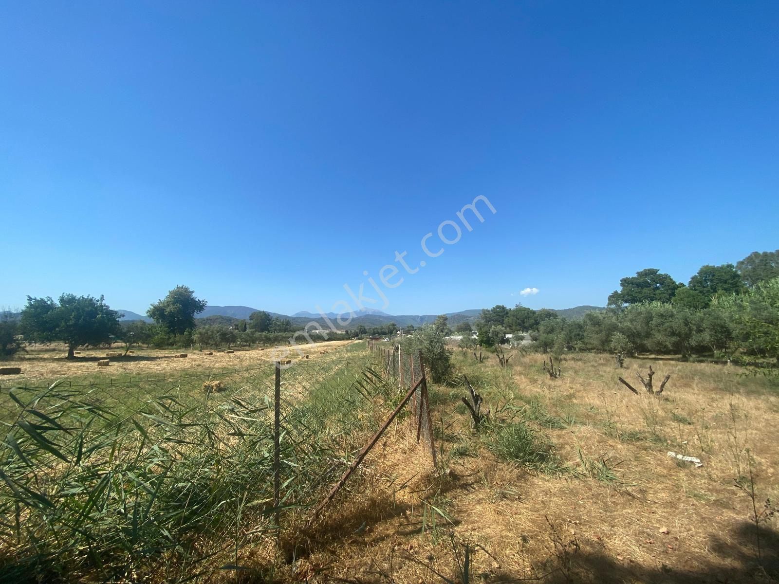 Sahibinden Denize Yakın Kiralık Tarla - Görsel 15