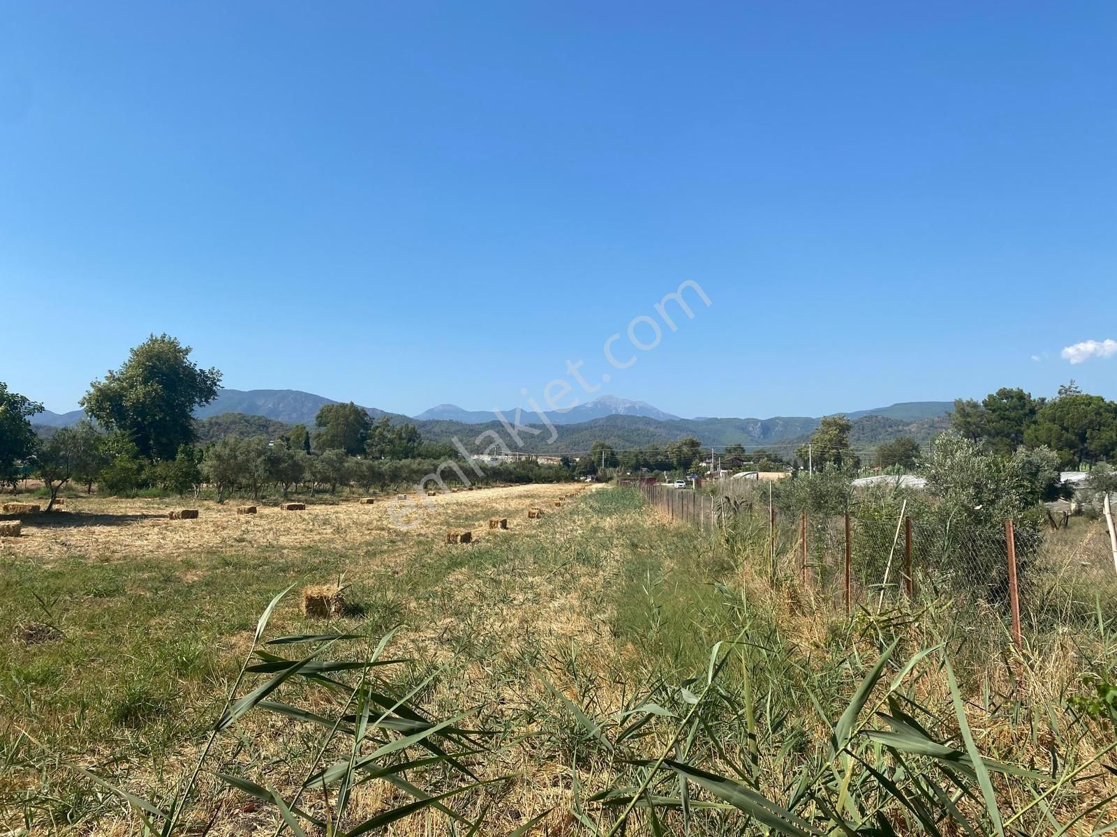 Sahibinden Denize Yakın Kiralık Tarla - Görsel 14