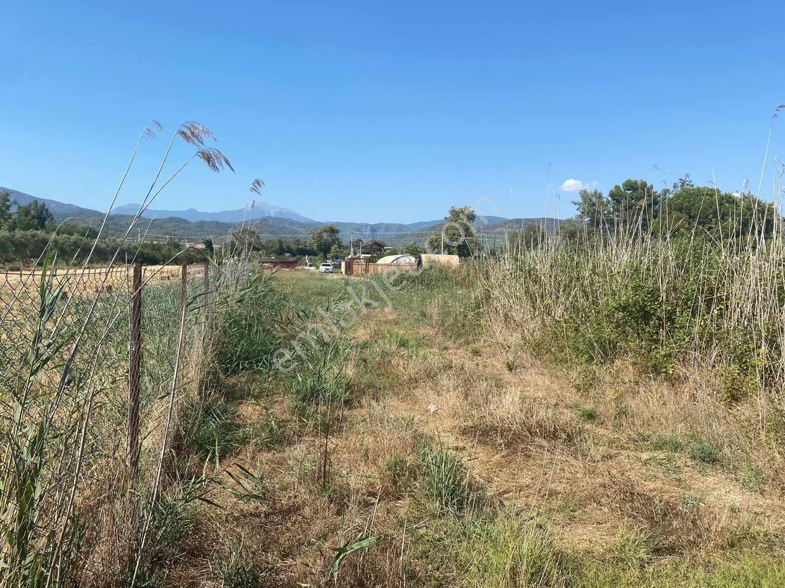 Sahibinden Denize Yakın Kiralık Tarla - Görsel 10