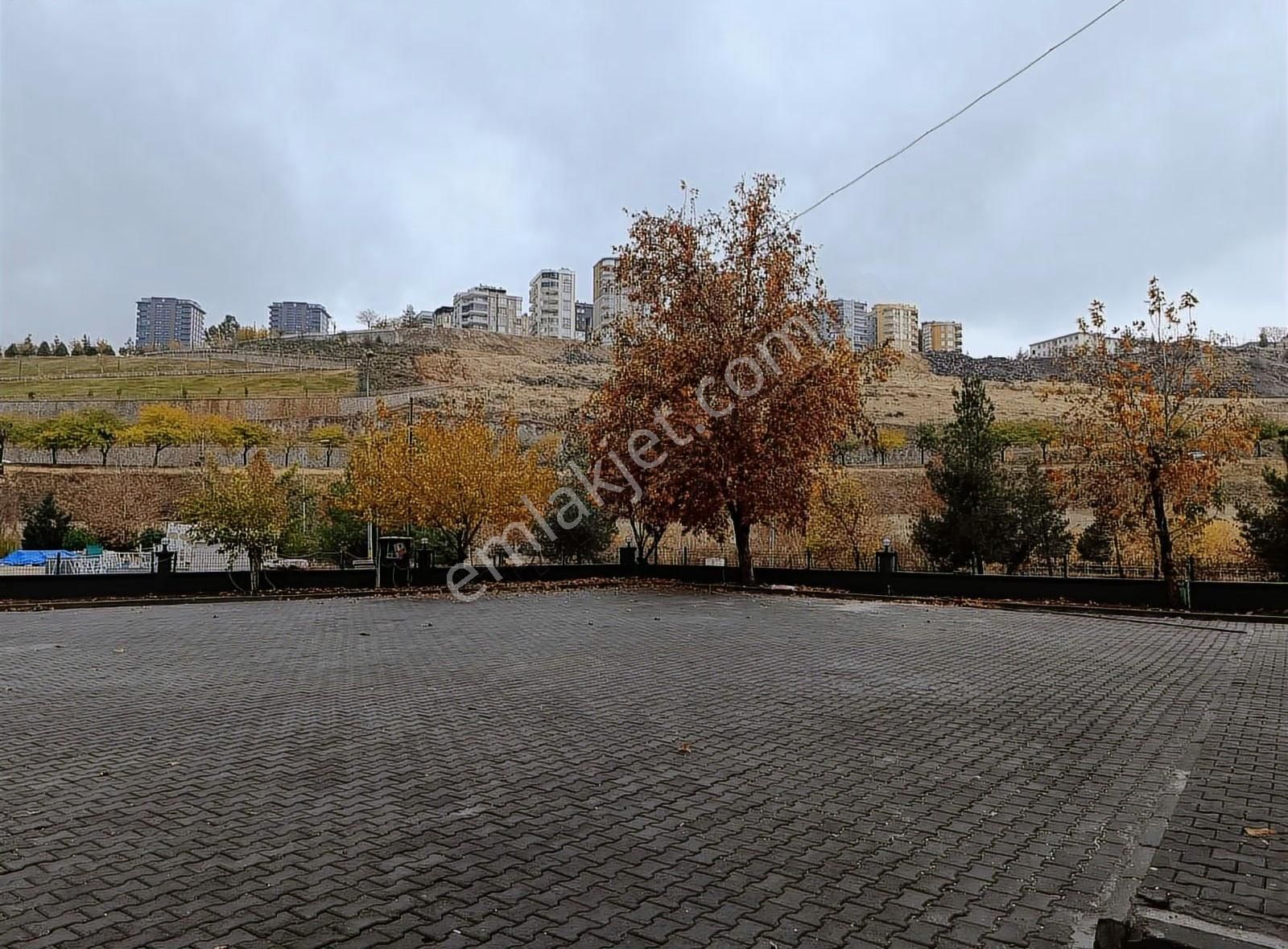 Akbayır Mahallesi Gap Dairesi Sahası Yani 1+1 Eşyalı Kiralık - Görsel 5