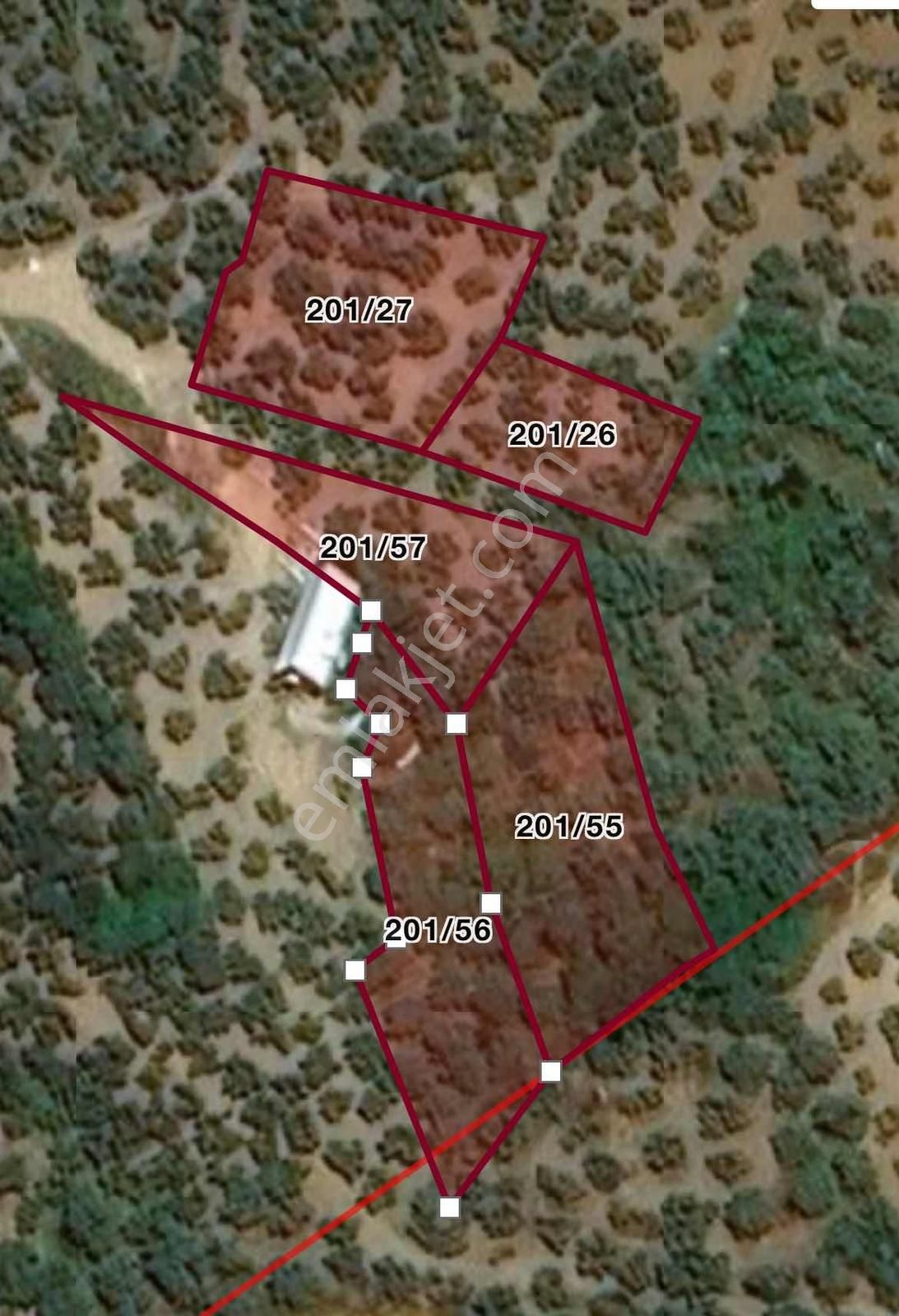 Mudanya Çepni'de Satılık Fırsat Zeytinlik