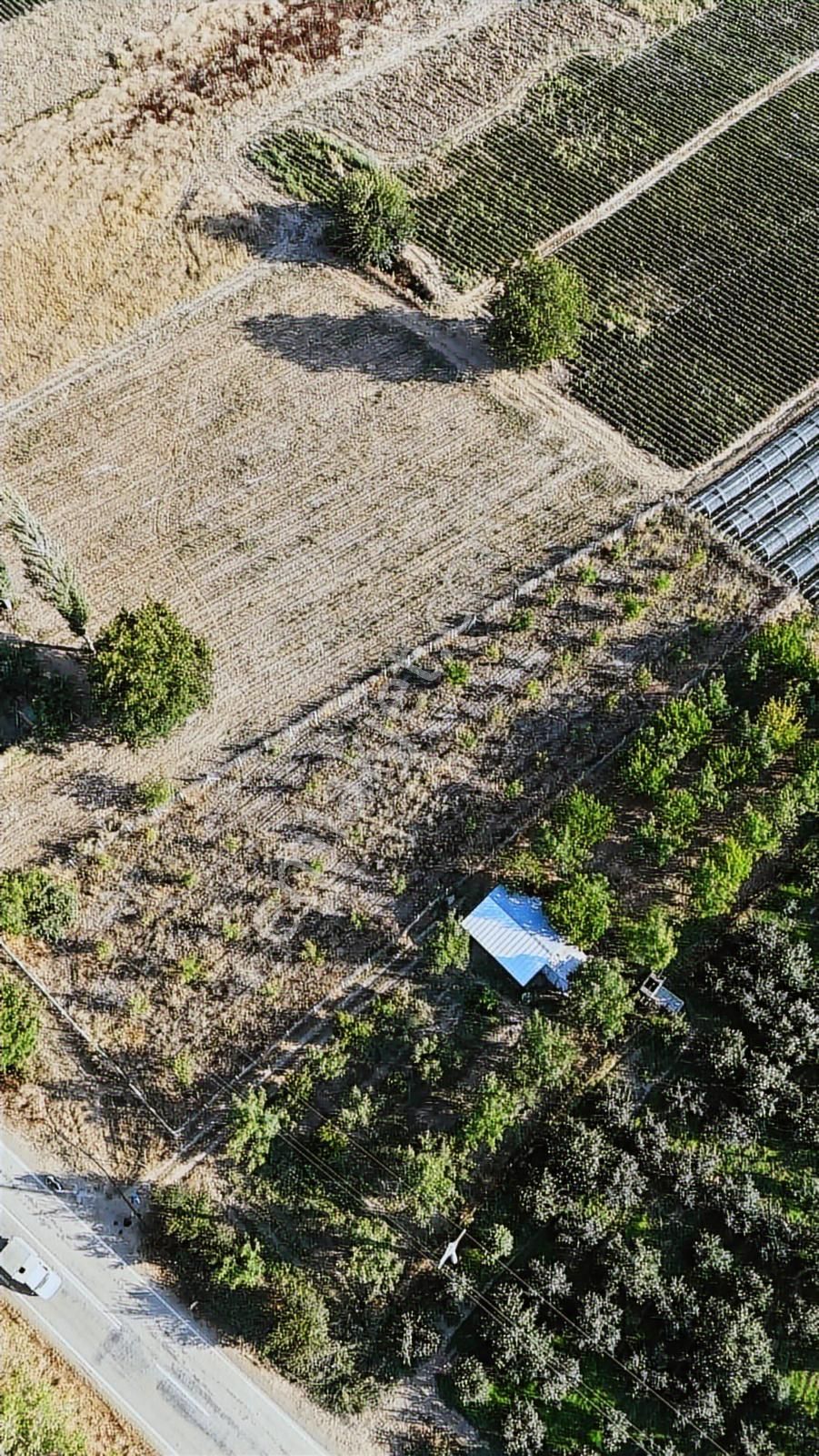 Bera Gayrimenkul'den Kurşunlu Asfaltına Cephe Satılık Tarla - Görsel 7