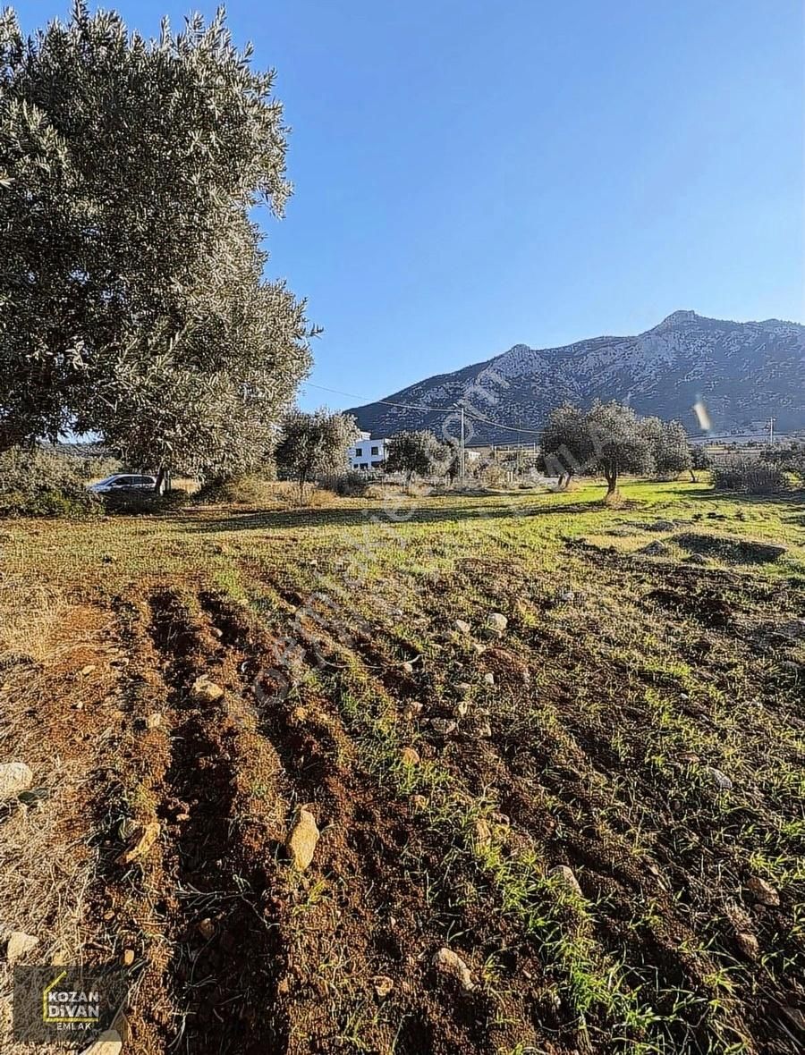 Kozan Divan Emlak'tan Satılıktır - Görsel 12