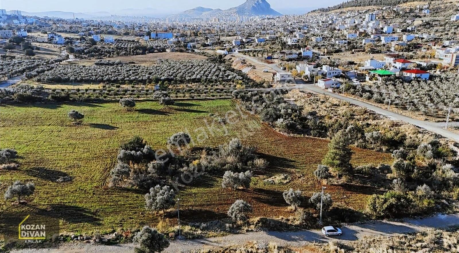 Kozan Divan Emlak'tan Satılıktır - Görsel 13