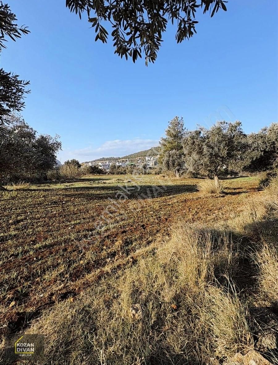 Kozan Divan Emlak'tan Satılıktır - Görsel 9