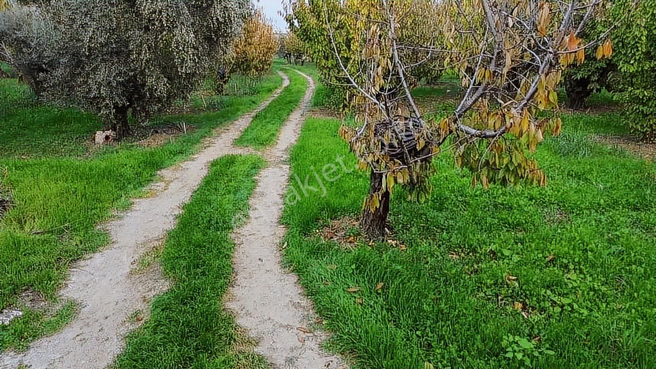 Merkezde İçinde Evi Olan Müstakil Bahçe - Görsel 18