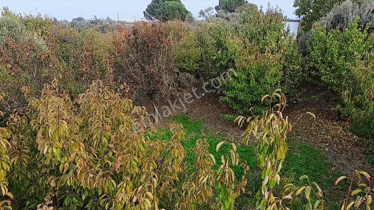 Merkezde İçinde Evi Olan Müstakil Bahçe - Görsel 29