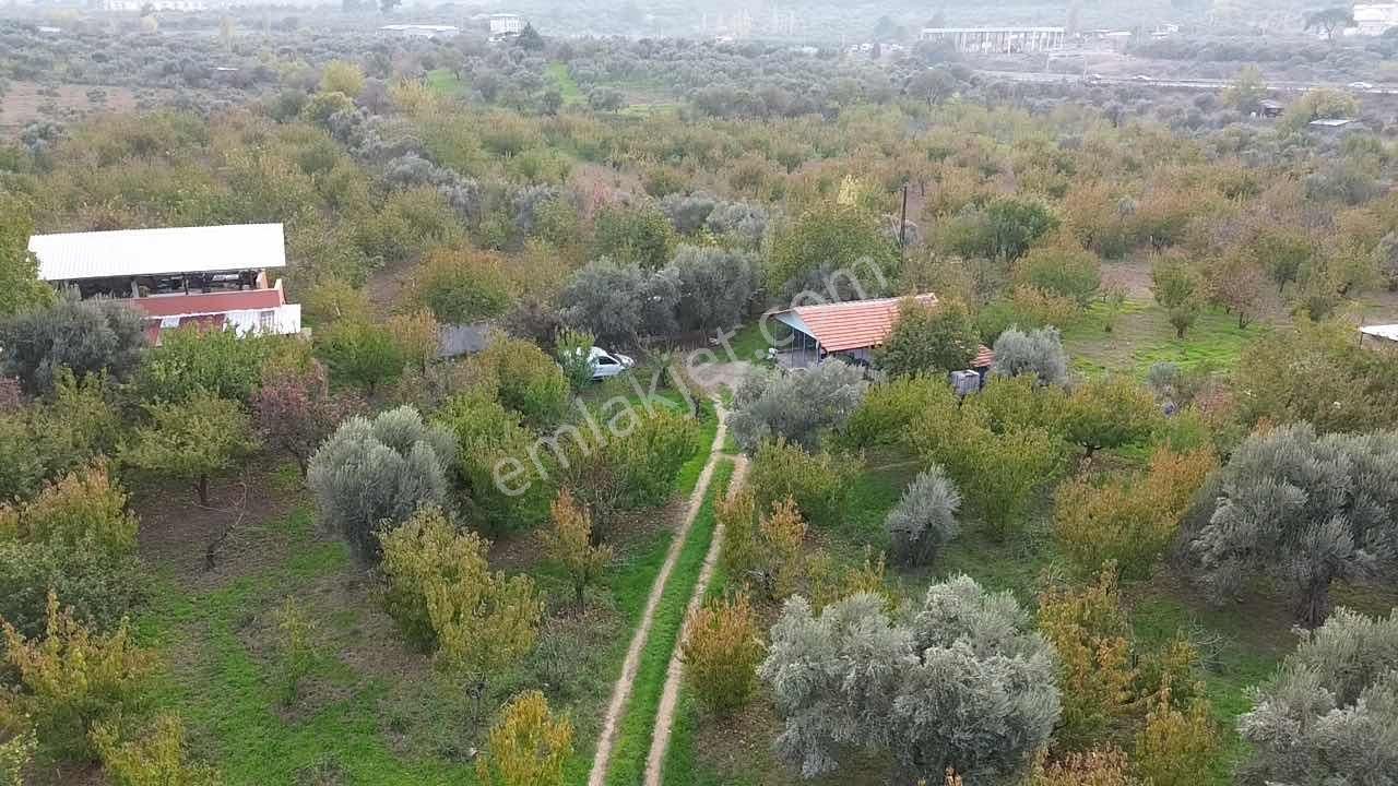 Merkezde İçinde Evi Olan Müstakil Bahçe - Görsel 23