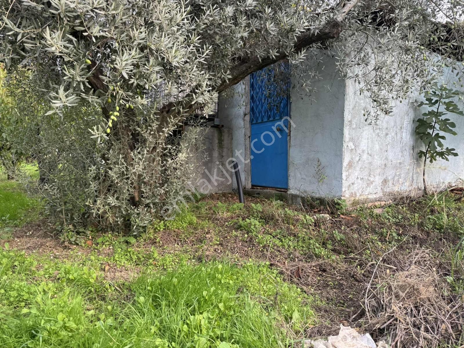 Merkezde İçinde Evi Olan Müstakil Bahçe - Görsel 33