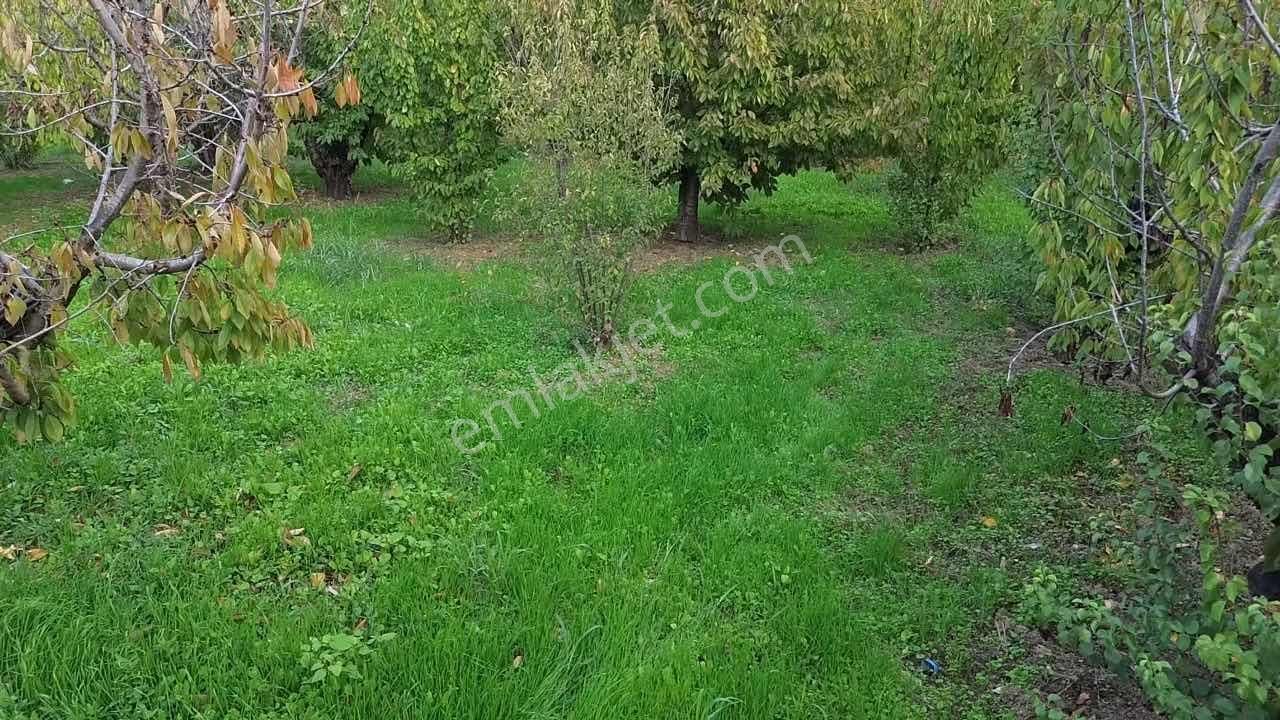Merkezde İçinde Evi Olan Müstakil Bahçe - Görsel 31