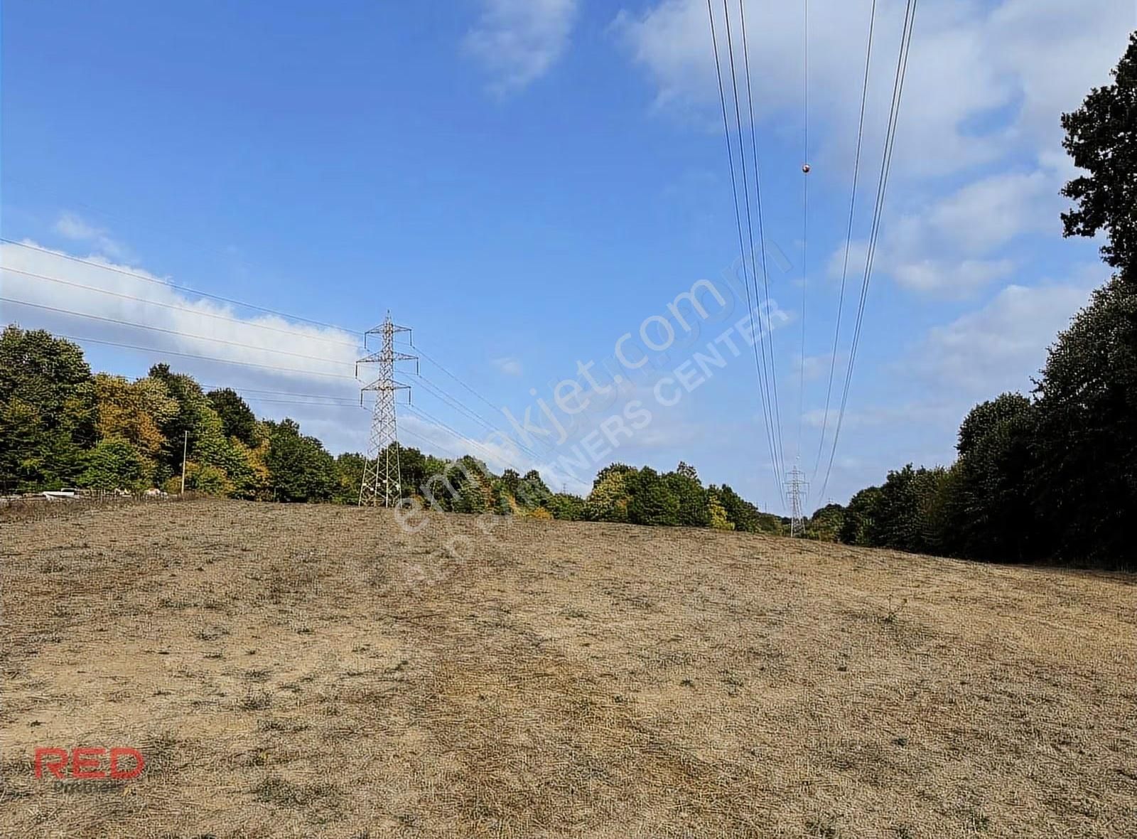 Çiftlik Yapımına Uygun 12 Dönüm Kadastrol Yol Elk+su Vardır - Görsel 5