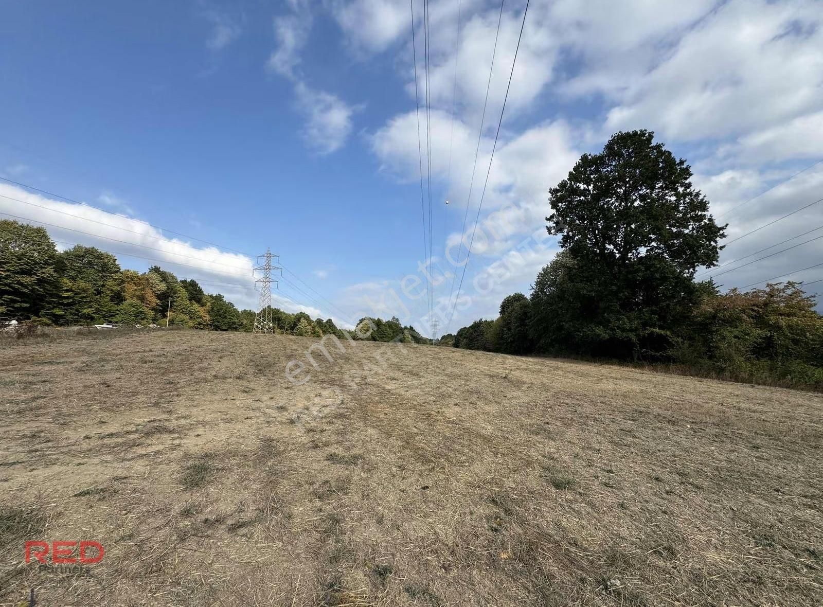 Çiftlik Yapımına Uygun 12 Dönüm Kadastrol Yol Elk+su Vardır - Görsel 13