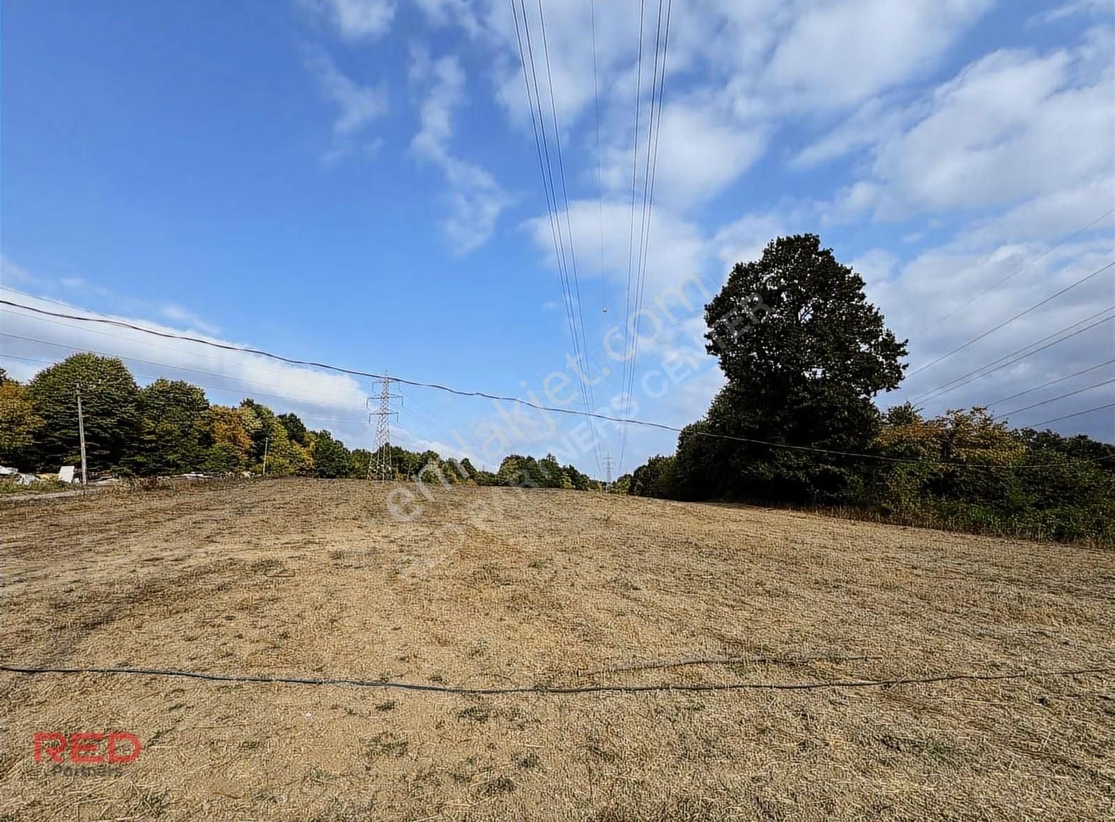 Çiftlik Yapımına Uygun 12 Dönüm Kadastrol Yol Elk+su Vardır - Görsel 8