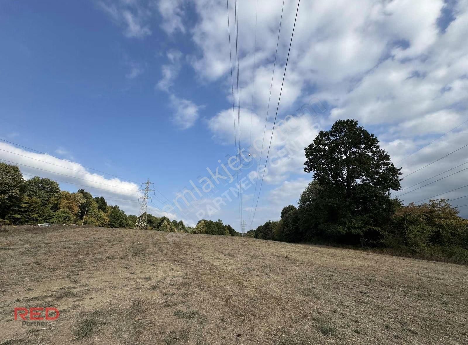 Çiftlik Yapımına Uygun 12 Dönüm Kadastrol Yol Elk+su Vardır - Görsel 9