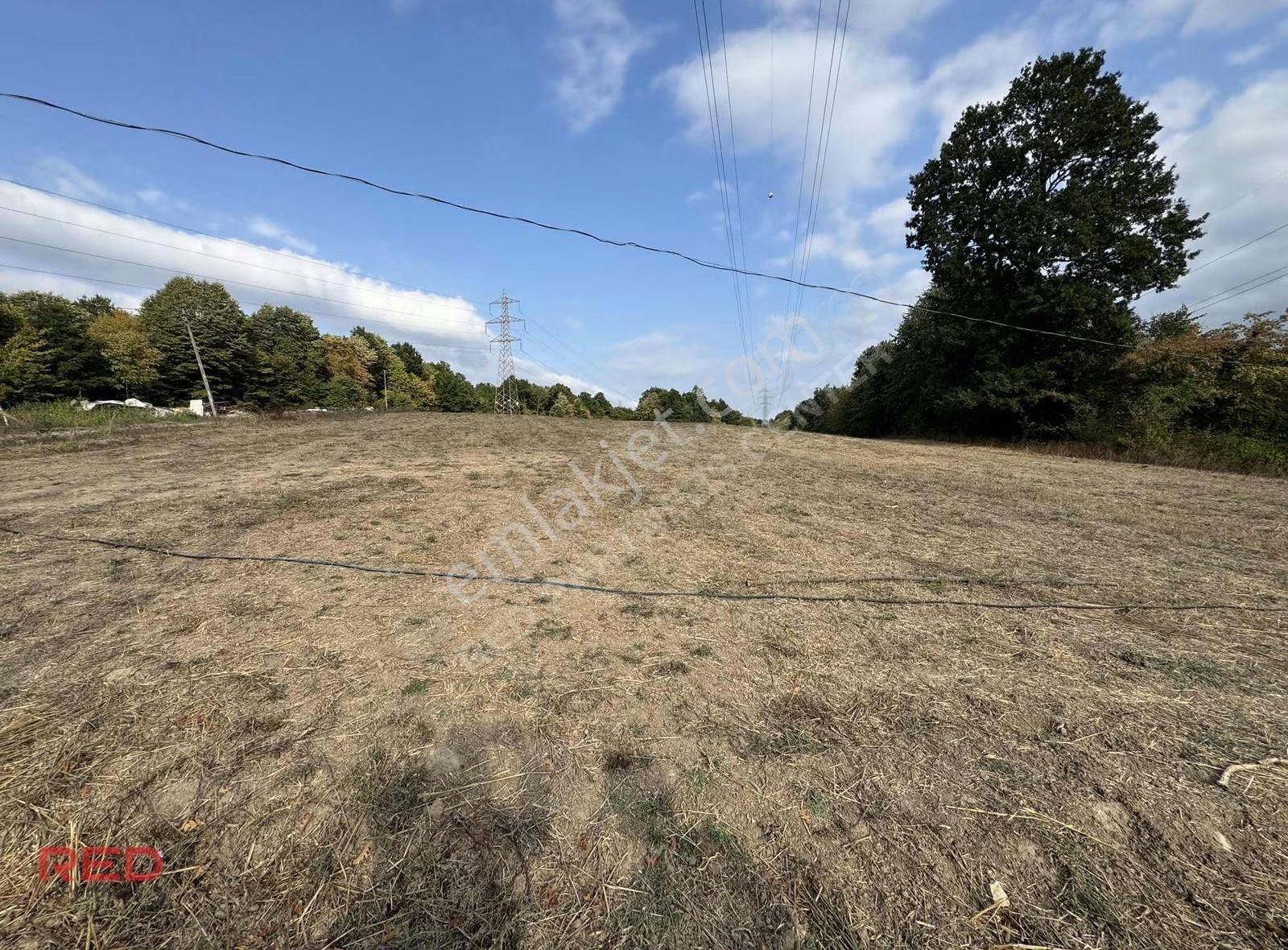 Çiftlik Yapımına Uygun 12 Dönüm Kadastrol Yol Elk+su Vardır - Görsel 2