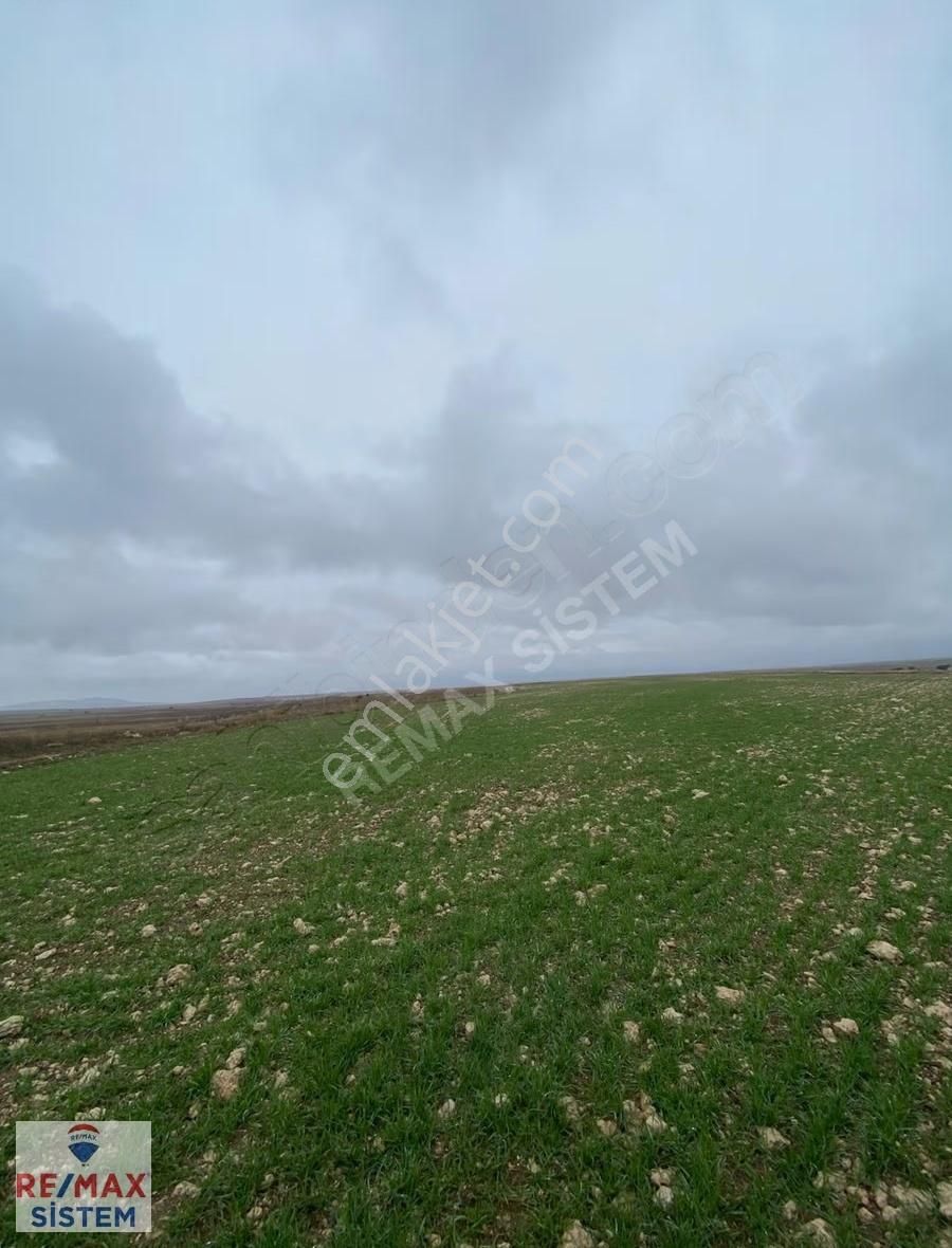 Afyonkarahisar Merkez Olcak Köyünde Satılık Tarla