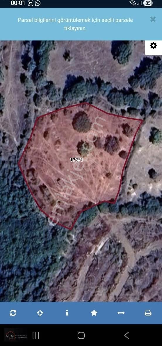 Hayalinizdeki Doğa Yaşamı İçin Pınarderede Yola Cepheli Arazi - Görsel 5