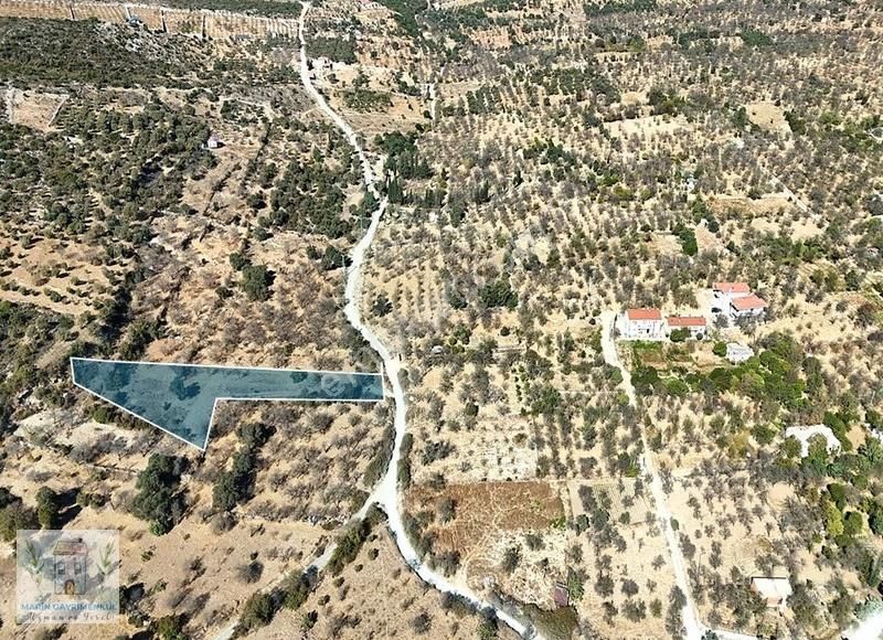 Marinden 1.831 M2 İmar Ve Yerleşim Bitişiği Badem Bahçesi - Görsel 2