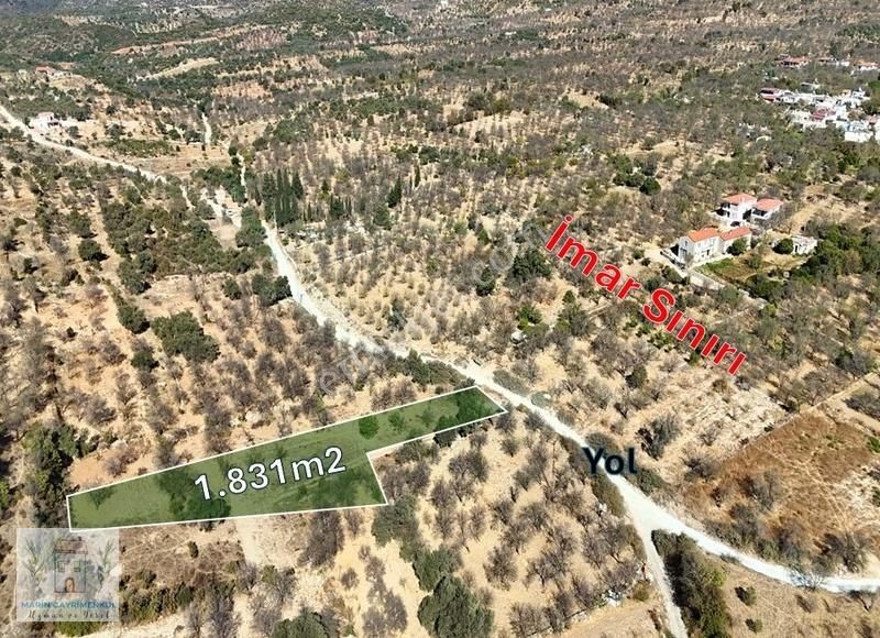 Marinden 1.831 M2 İmar Ve Yerleşim Bitişiği Badem Bahçesi - Görsel 4