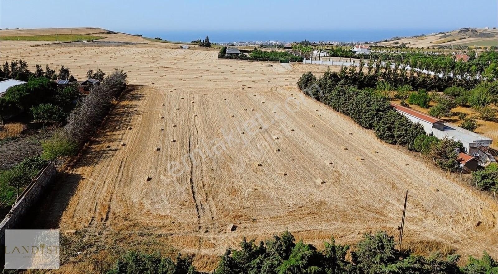 Çatalca Ova Yenicede Deniz Manzaralı 6.557 M² Tek Tapu Arazi - Görsel 9