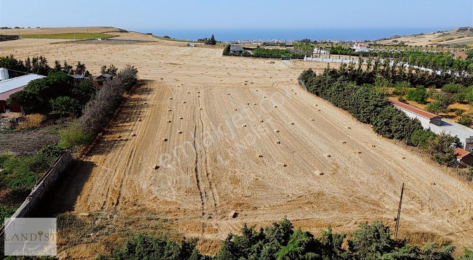 Çatalca Ova Yenicede Deniz Manzaralı 6.557 M² Tek Tapu Arazi - Görsel 16