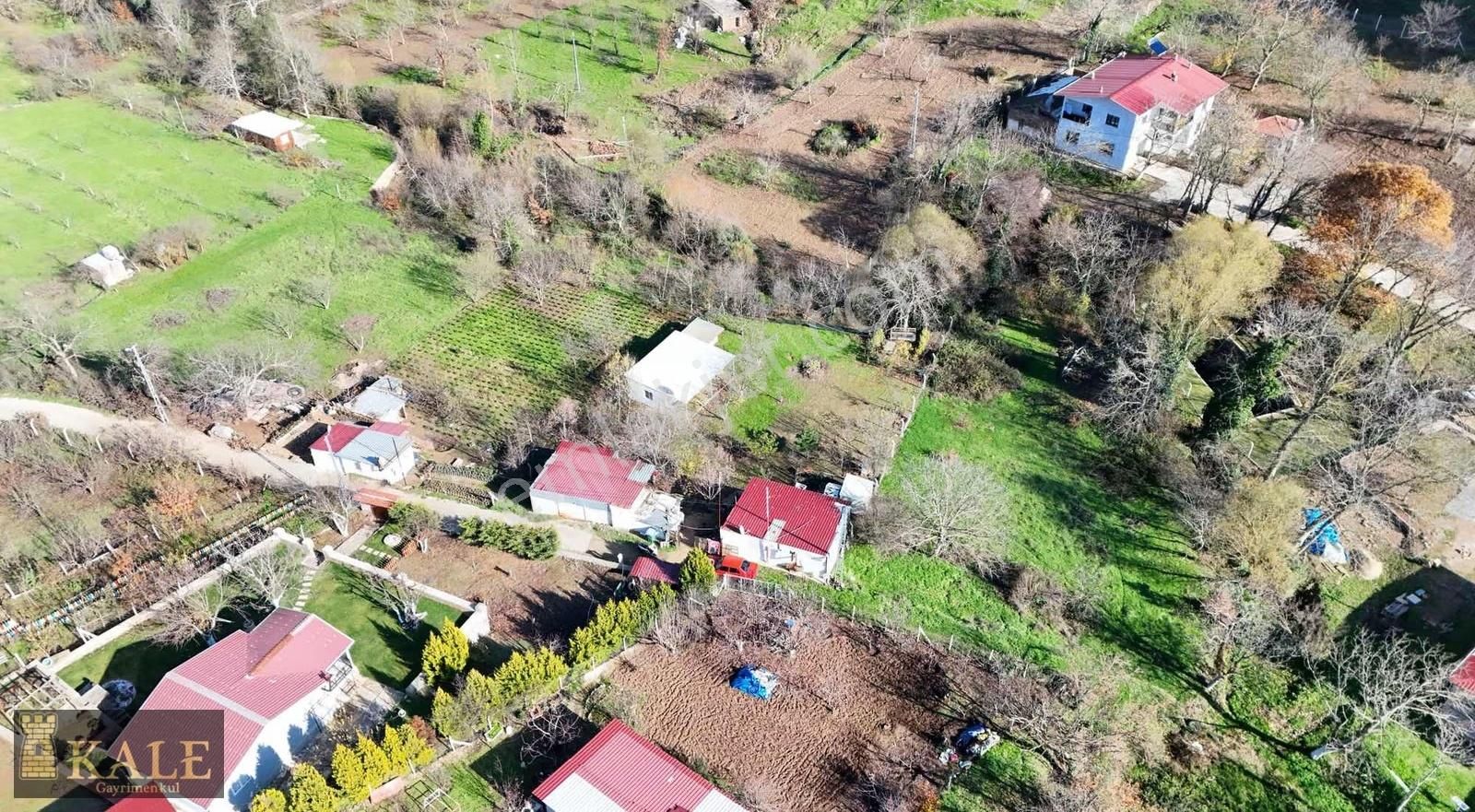 Kale'den Alankıyı Yaylası'nda Harika Arsa - Görsel 3