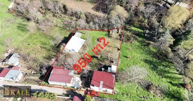 Kale'den Alankıyı Yaylası'nda Harika Arsa