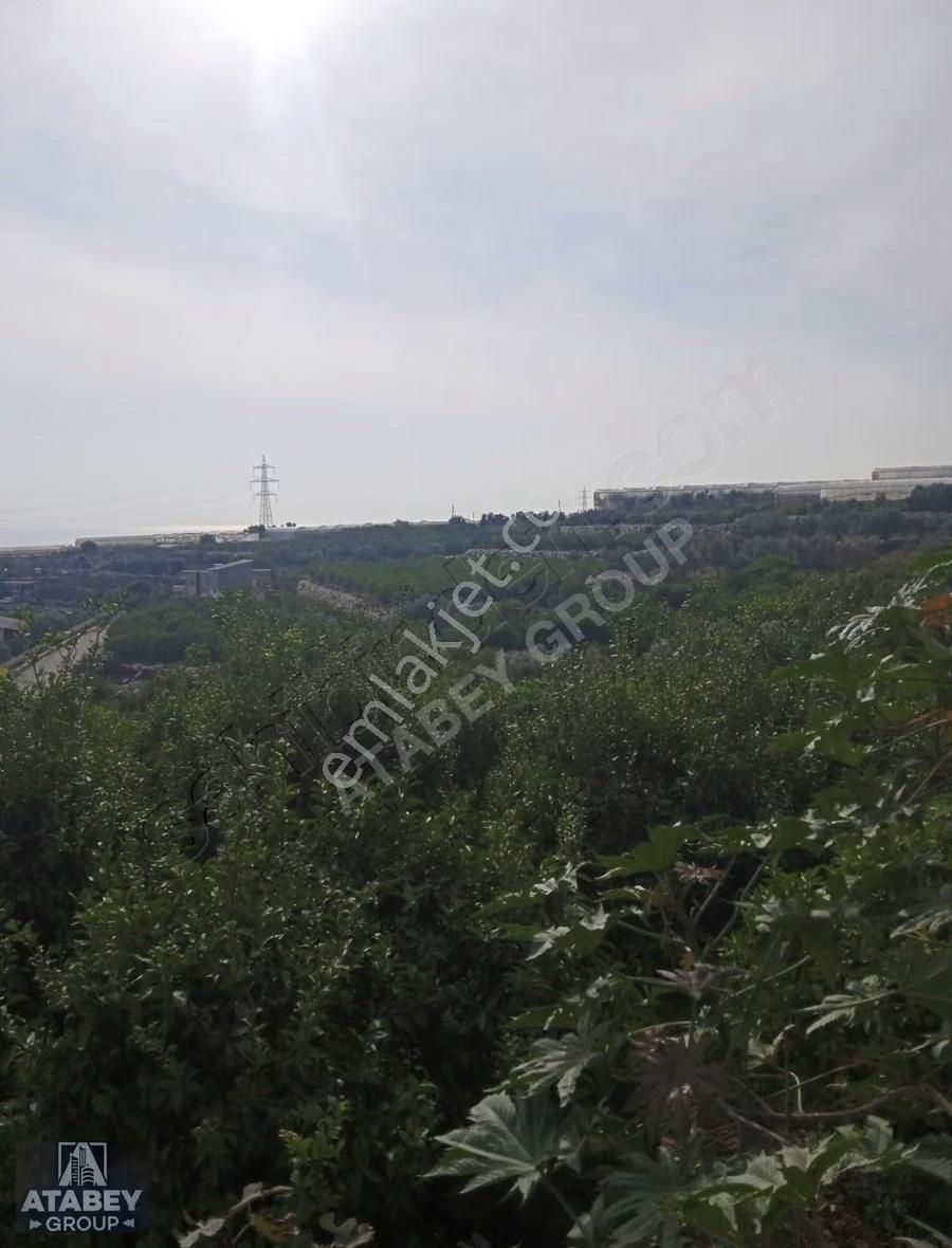 Atabey Group`dan Kocahasanlıda Bahçe - Görsel 2