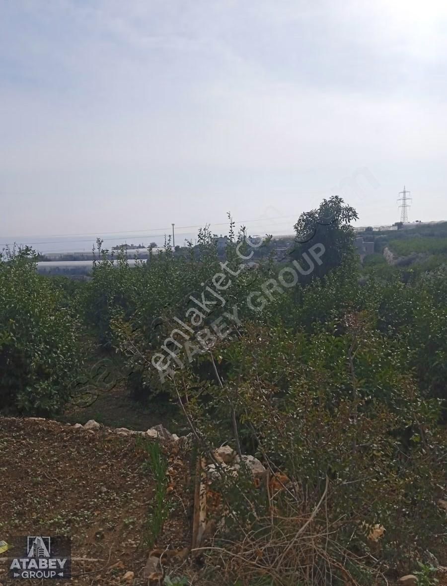 Atabey Group`dan Kocahasanlıda Bahçe - Görsel 8