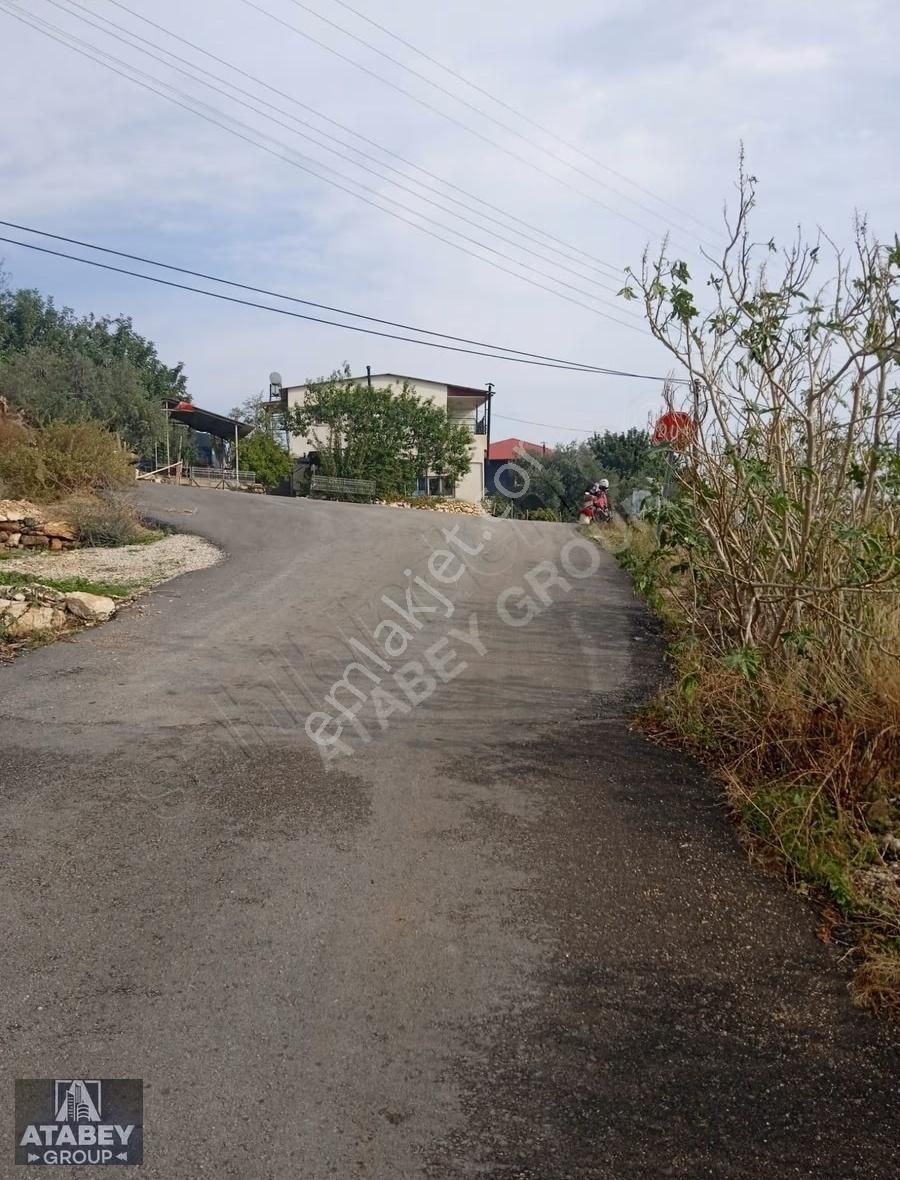 Atabey Group`dan Kocahasanlıda Bahçe - Görsel 5