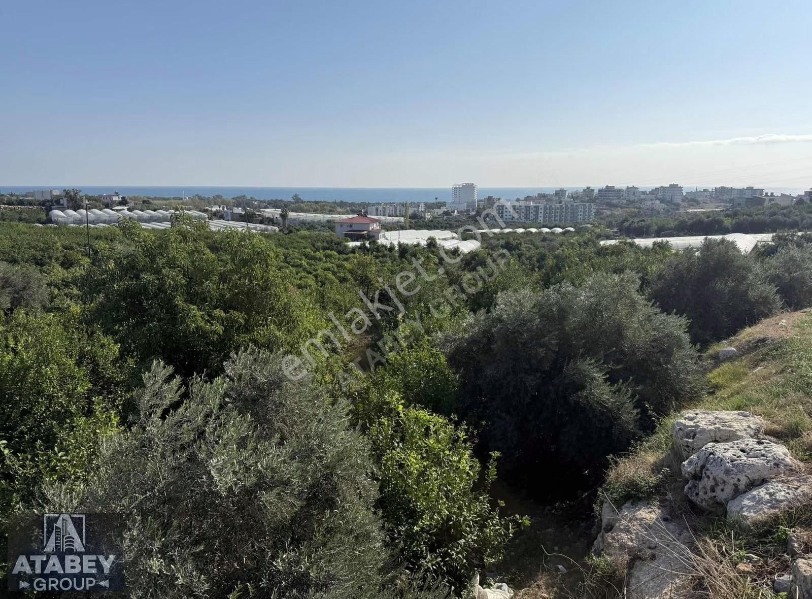 Atabey'den Kocahasanlı'da 2310m² Köşe Parsel Arsa (2050+260) - Görsel 5