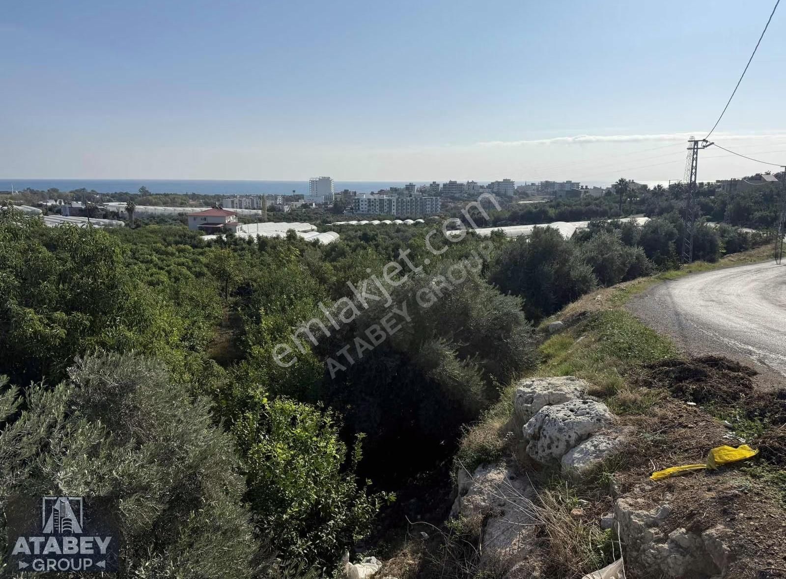 Atabey'den Kocahasanlı'da 2310m² Köşe Parsel Arsa (2050+260) - Görsel 9