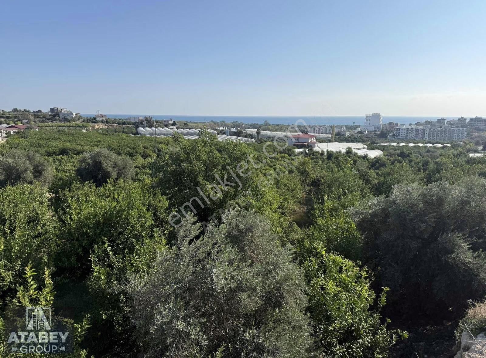 Atabey'den Kocahasanlı'da 2310m² Köşe Parsel Arsa (2050+260) - Görsel 7