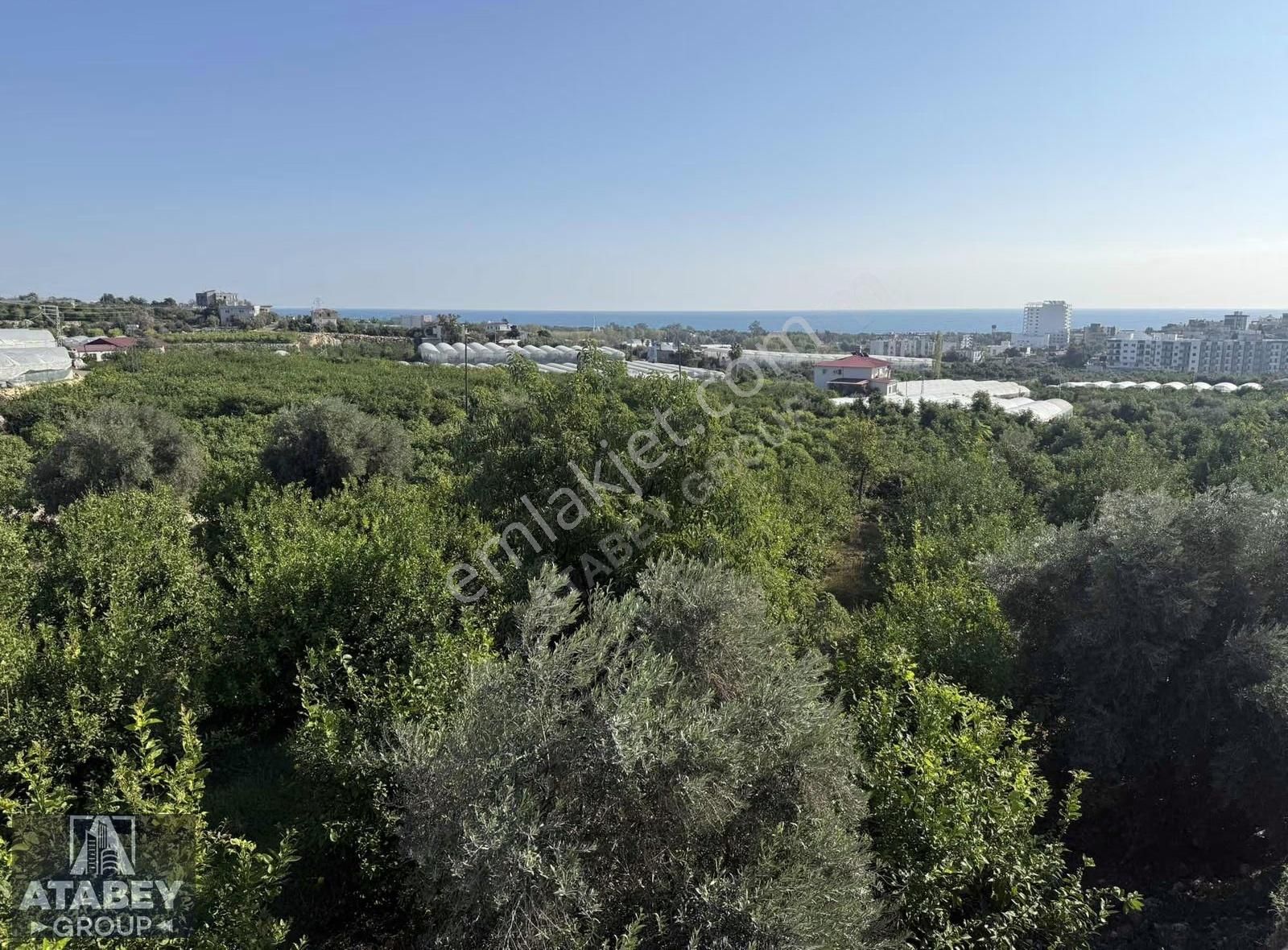 Atabey'den Kocahasanlı'da 2310m² Köşe Parsel Arsa (2050+260) - Görsel 8