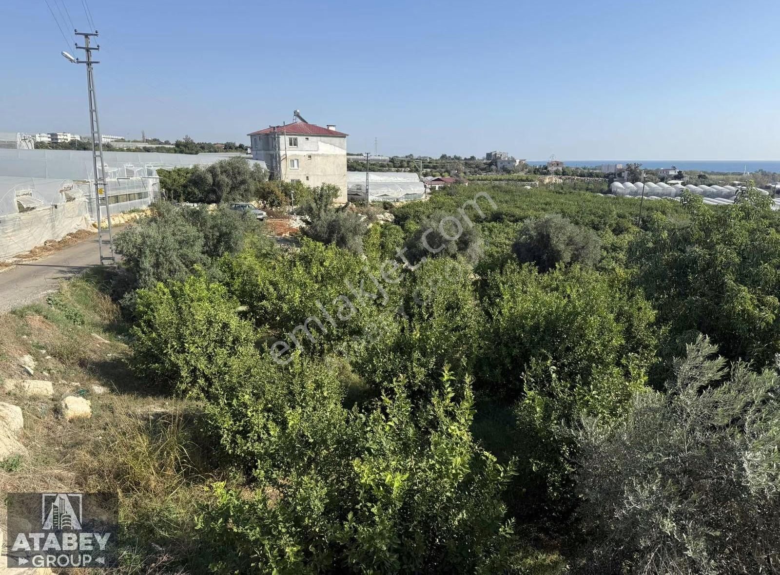 Atabey'den Kocahasanlı'da 2310m² Köşe Parsel Arsa (2050+260) - Görsel 4