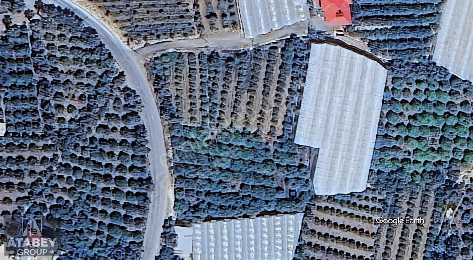 Atabey'den Kocahasanlı'da 2310m² Köşe Parsel Arsa (2050+260) - Görsel 3