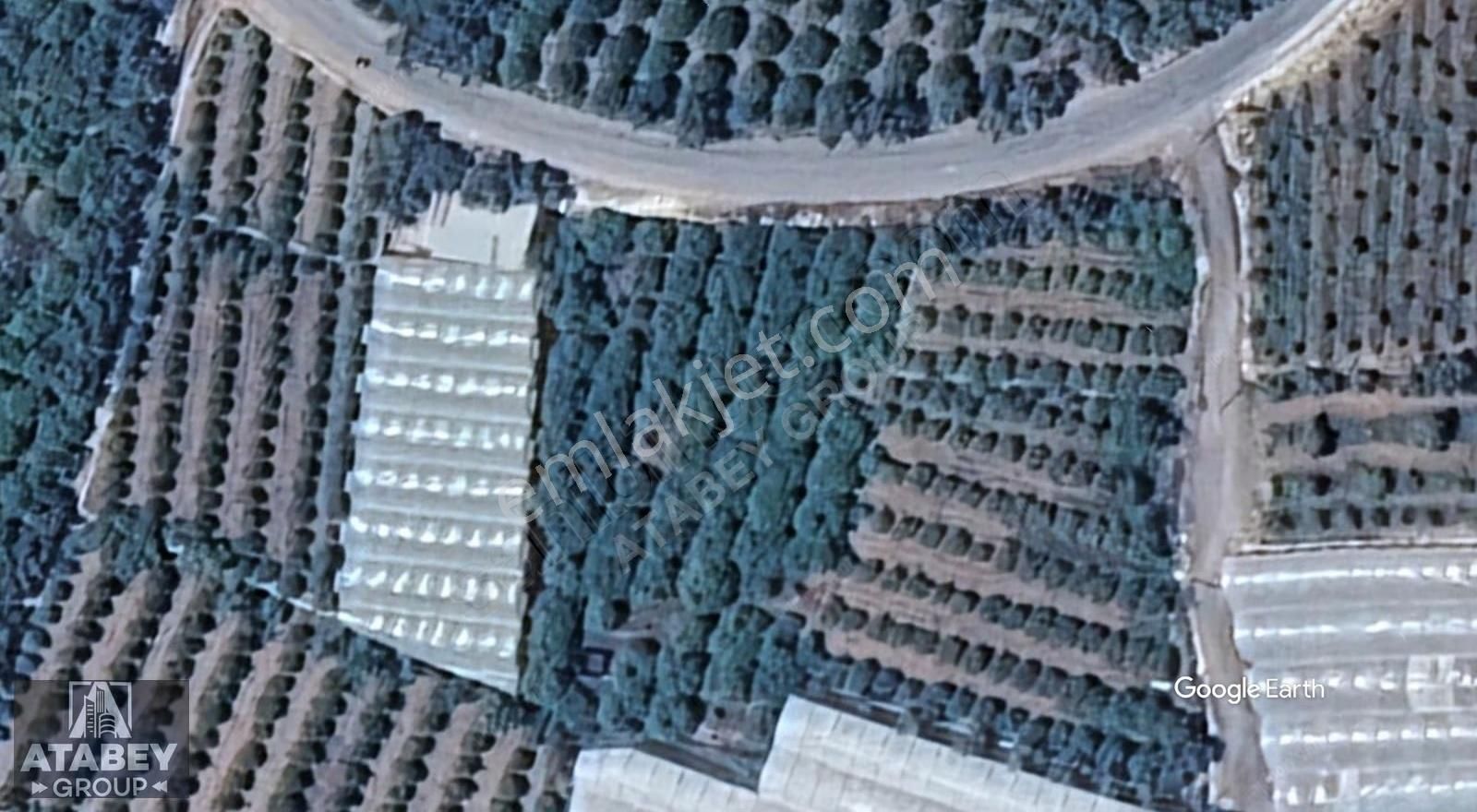 Atabey'den Kocahasanlı'da 2310m² Köşe Parsel Arsa (2050+260) - Görsel 2