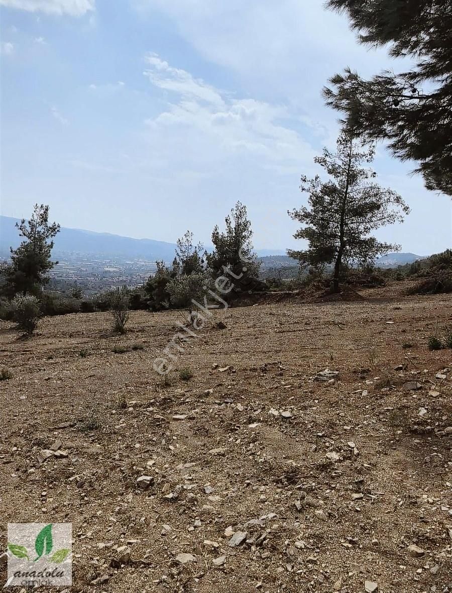 Görecede Ferah Manzaralı Bol Oksijenli Satılık Hobi Bahçesi