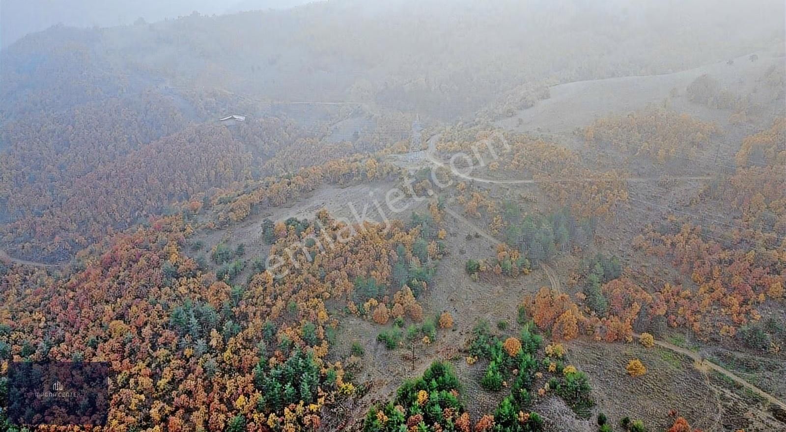Magna Centerdan Doğancıda 5.248,03 M2 Satılık Tek Tapu Tarla - Görsel 2