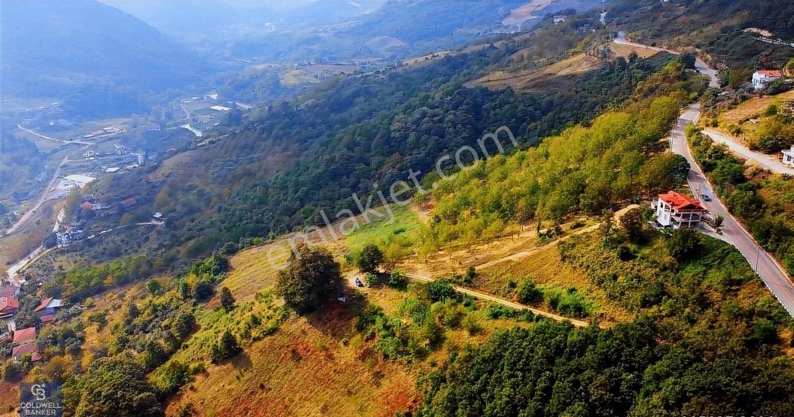 Satılık Gölcük İhsaniye Mahallesinde İmar Sınırında 68 Dönüm - Görsel 2