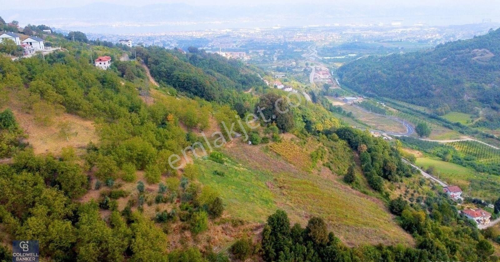 Satılık Gölcük İhsaniye Mahallesinde İmar Sınırında 68 Dönüm - Görsel 25