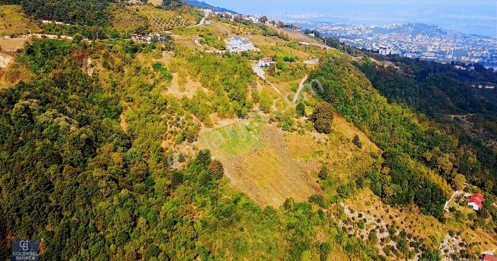 Satılık Gölcük İhsaniye Mahallesinde İmar Sınırında 68 Dönüm - Görsel 22